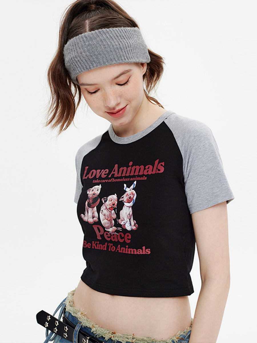 Patchwork Short Sleeve Printed Crop Top