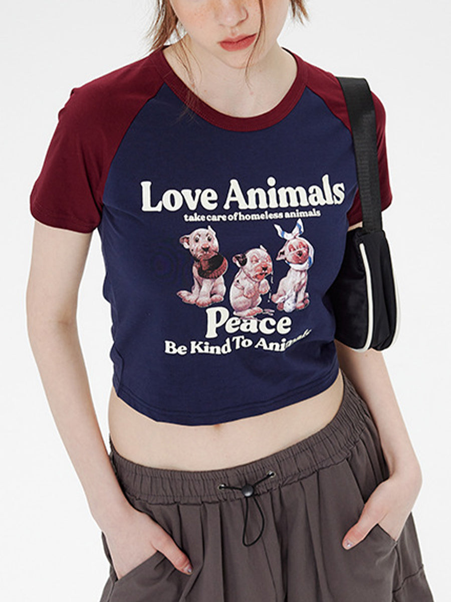 Patchwork Short Sleeve Printed Crop Top