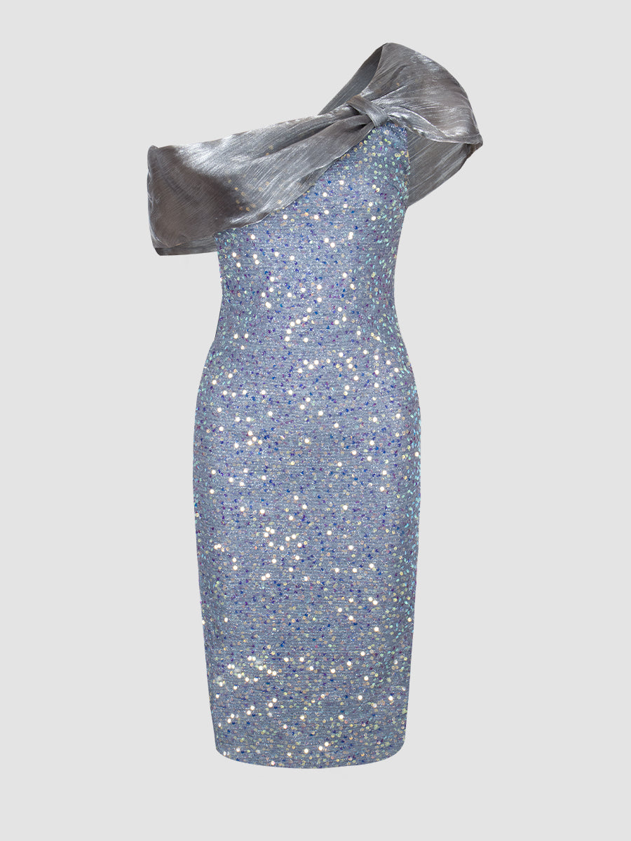 Organza Sequin Dress