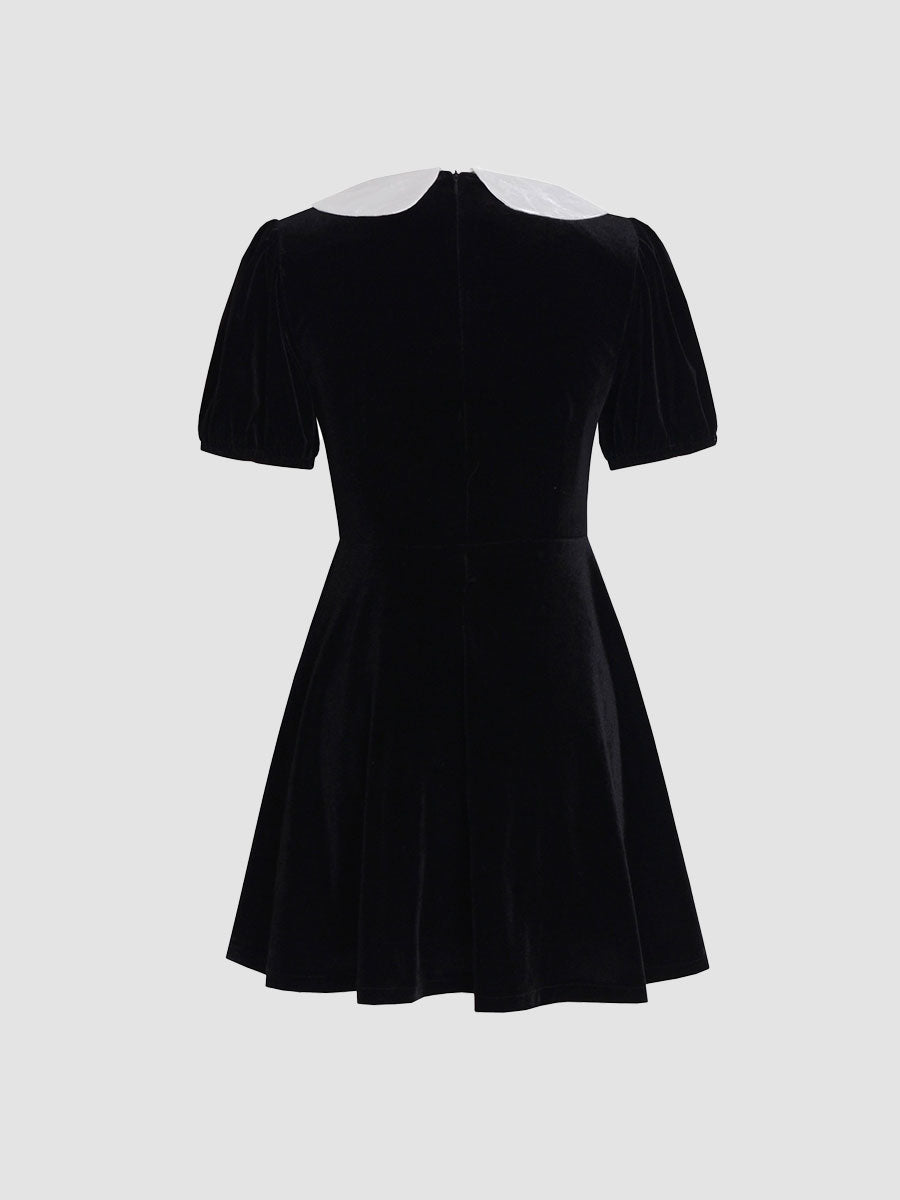 Black Velvet Doll Collar Dress