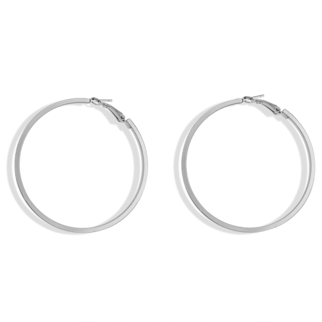 Fashion Hooped Earrings