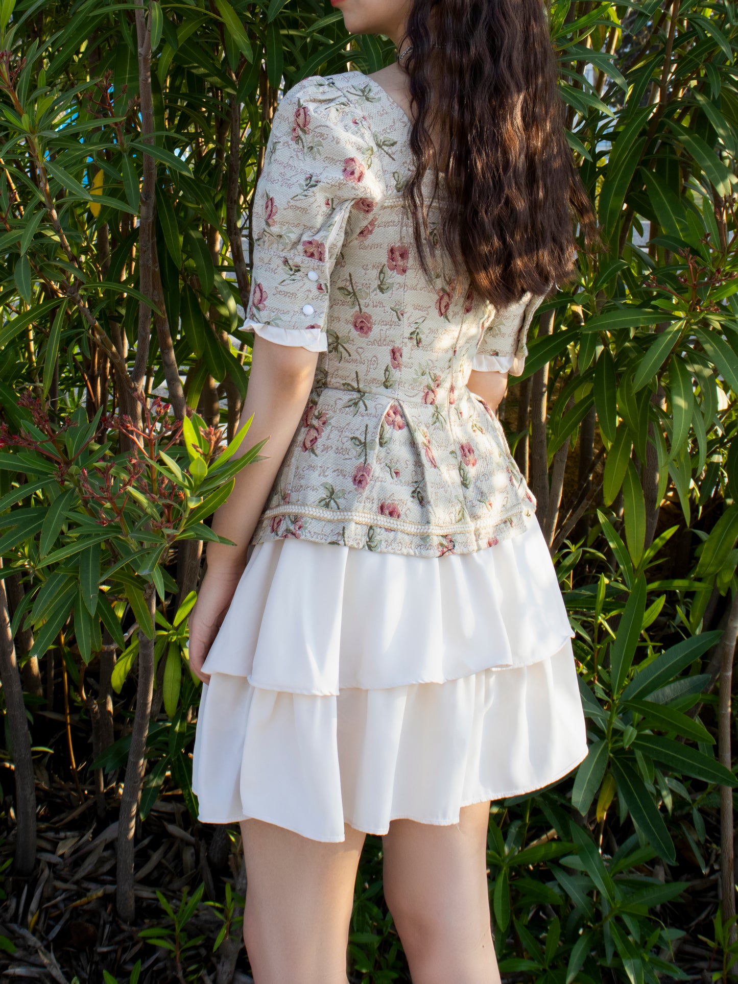 French Vintage Court Printed Dress