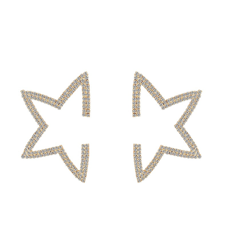 Fashion Star Earrings