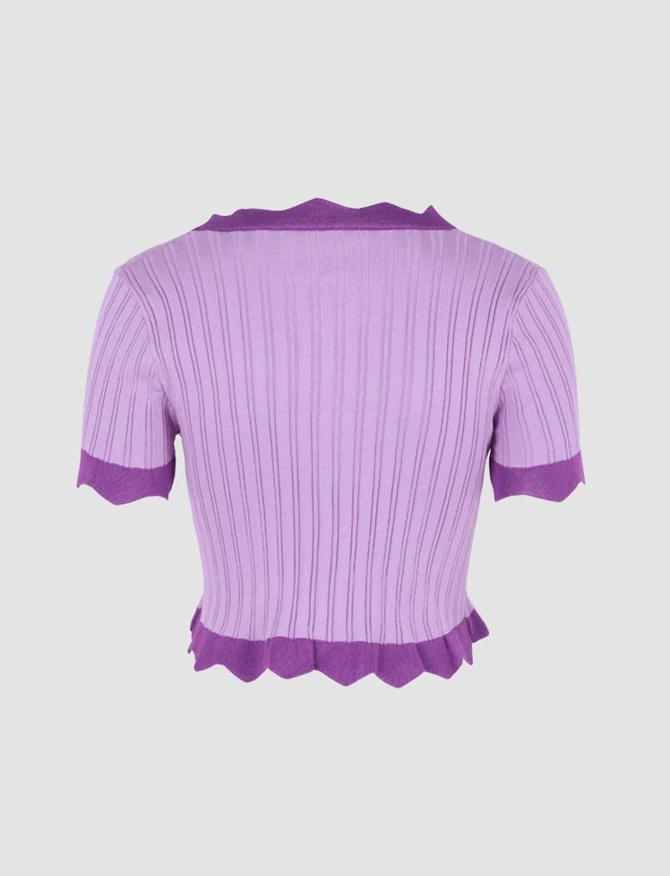 Purple Color Block Short Sleeve Top