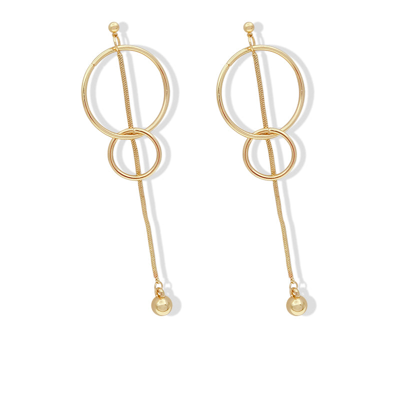 Hooped Tassel Long Earrings