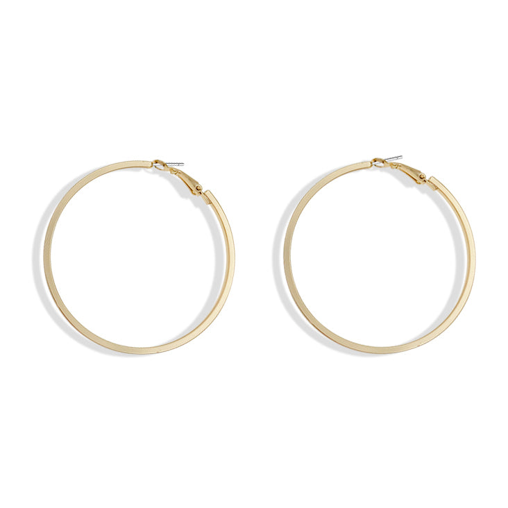 Fashion Hooped Earrings