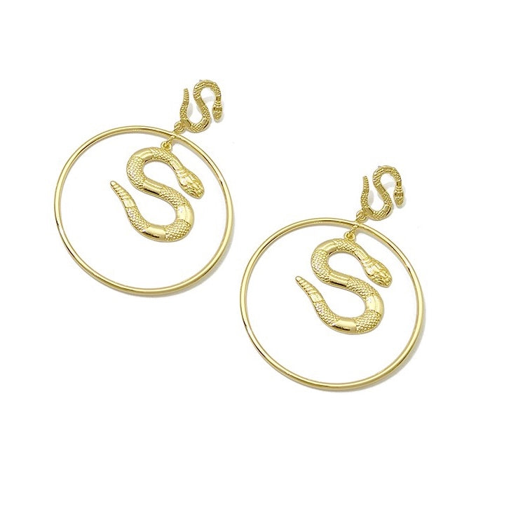 Snake Round Earrings