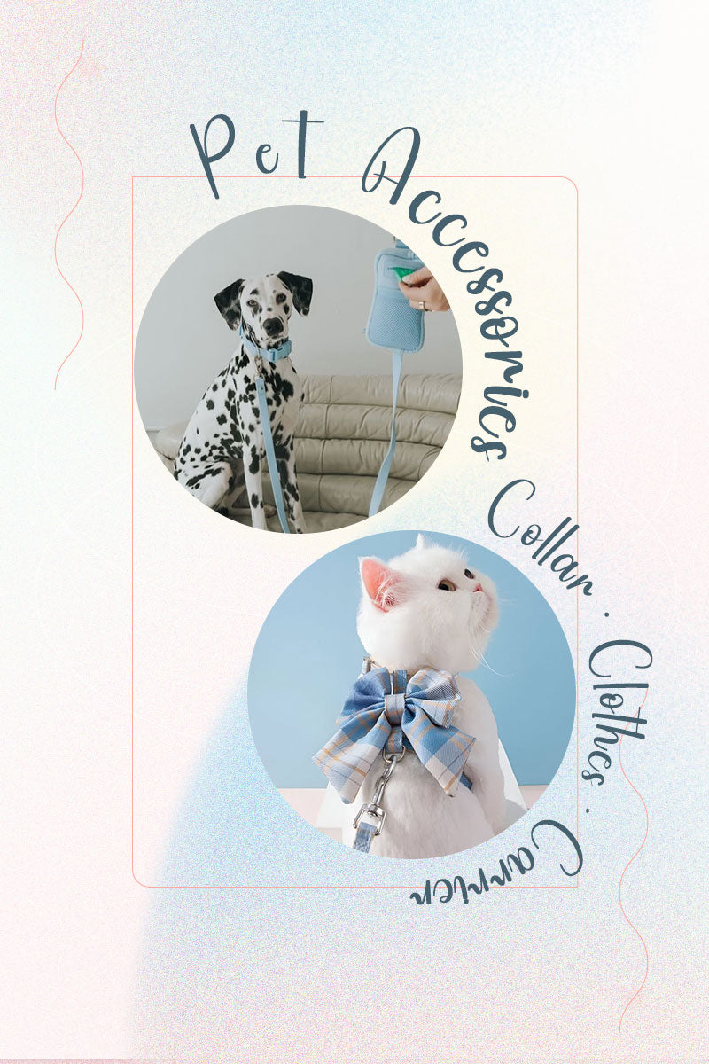 Pet Accessories