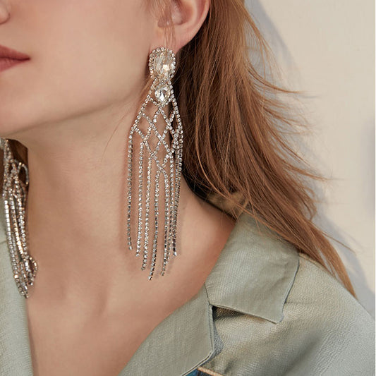 Meshes Tassel Long Earrings