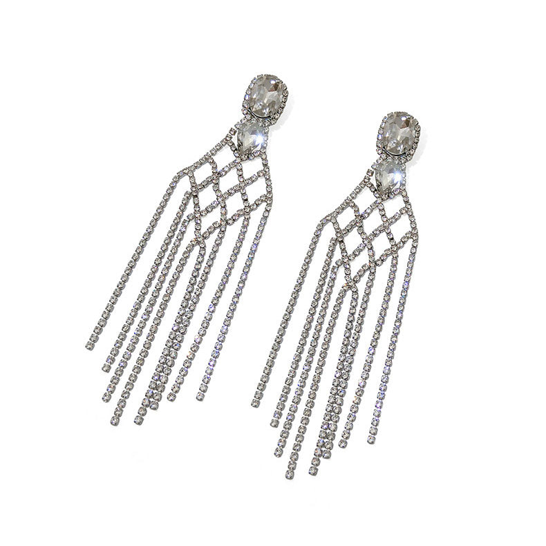 Meshes Tassel Long Earrings